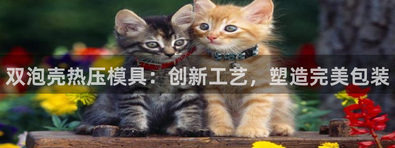 低频的emc用什么滤波：双泡壳热压模具：创新工艺，塑造完