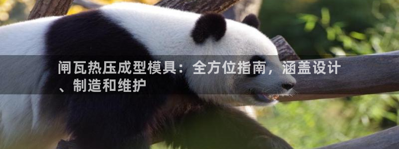 易倍纤代餐奶昔怎么样：闸瓦热压成型模具：全方位指南，涵盖