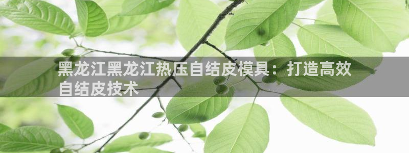 四川易倍易企业管理有限公司