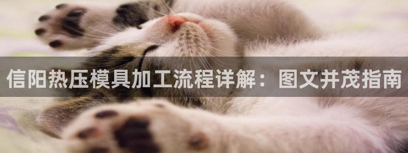 emcbet全站：信阳热压模具加工流程详解：图文并茂指南