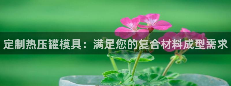 易倍达科技有限公司招聘：定制热压罐模具：满足您的复合材料