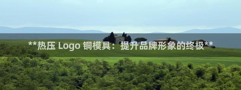 易倍单词平台：**热压 Logo 铜模具：提升品牌形象的