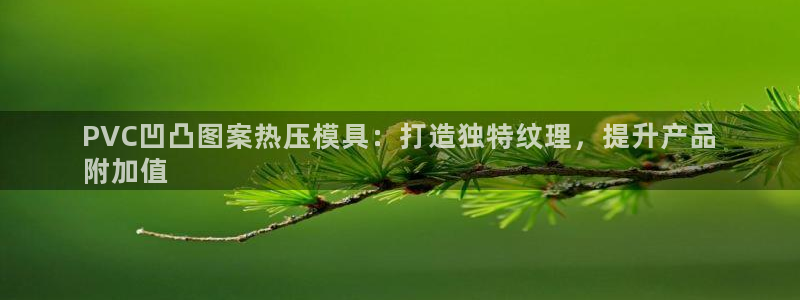 易倍单词官网下载：PVC凹凸图案热压模具：打造独特纹理，