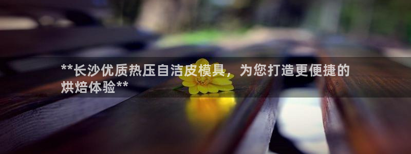 易倍单词如何下载：**长沙优质热压自洁皮模具，为您打造更