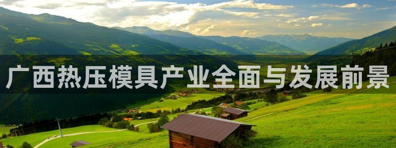 易倍康简历：广西热压模具产业全面与发展前景