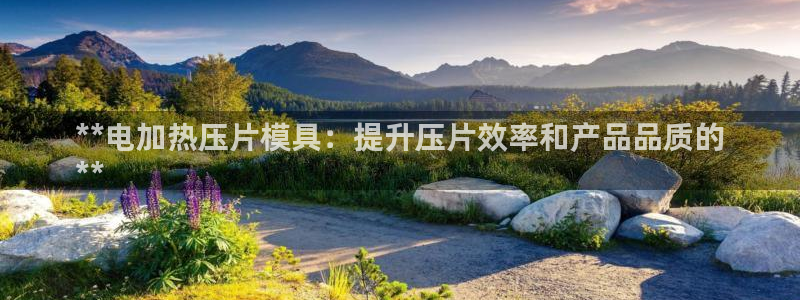 易倍app网站：**电加热压片模具：提升压片效率和产品品