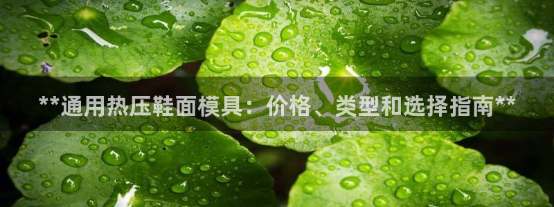 易倍纤代餐奶昔怎么样：**通用热压鞋面模具：价格、类型和