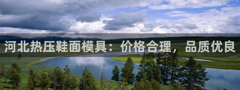 emc调试技巧：河北热压鞋面模具：价格合理，品质优良