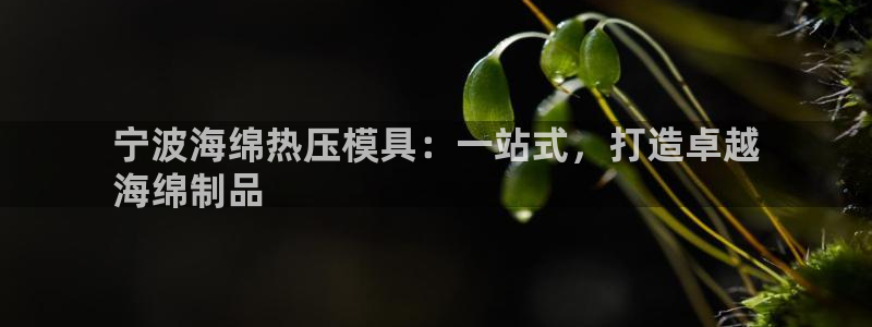 易倍EMC网址：宁波海绵热压模具：一站式，打造卓越
海绵
