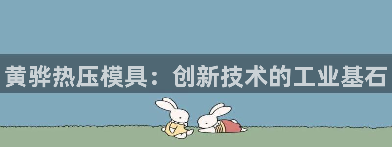 易倍申多少钱一盒：黄骅热压模具：创新技术的工业基石