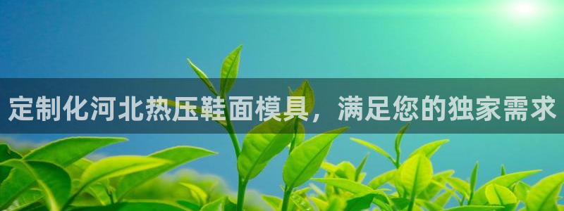 易倍申不良反应：定制化河北热压鞋面模具，满足您的独家需求