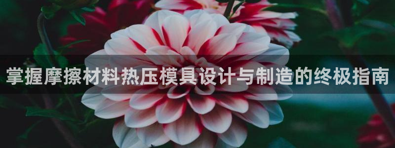 杭州易倍达科技有限公司怎么样：掌握摩擦材料热压模具设计与