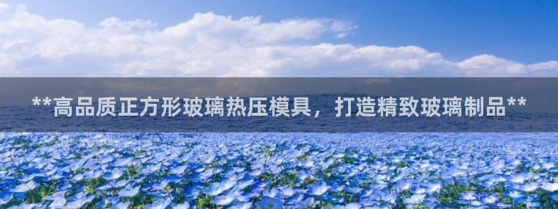 emc易倍官方：**高品质正方形玻璃热压模具，打造精致玻
