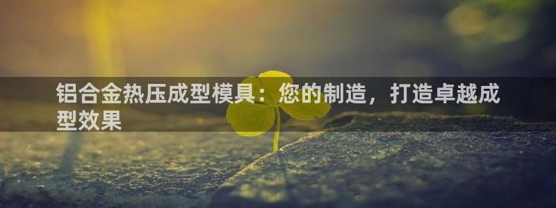 emc易倍官网app：铝合金热压成型模具：您的制造，打造