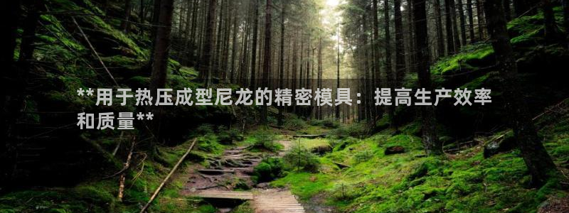 emc易倍官方下载：**用于热压成型尼龙的精密模具：提高
