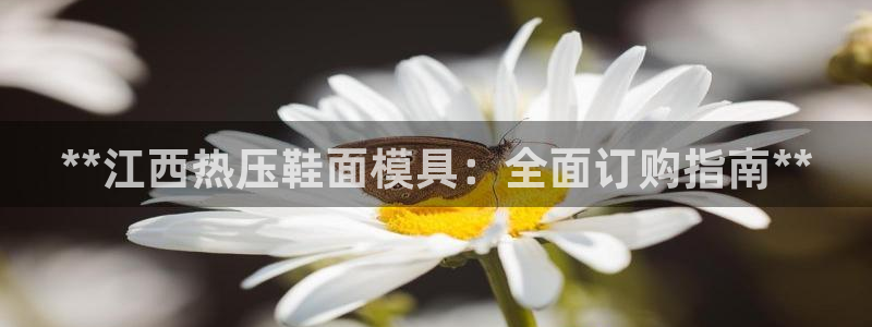 北京易倍思教育科技有限公司：**江西热压鞋面模具：全面订