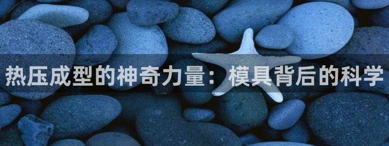 易倍纤代餐奶昔减肥效果怎么样：热压成型的神奇力量：模具背