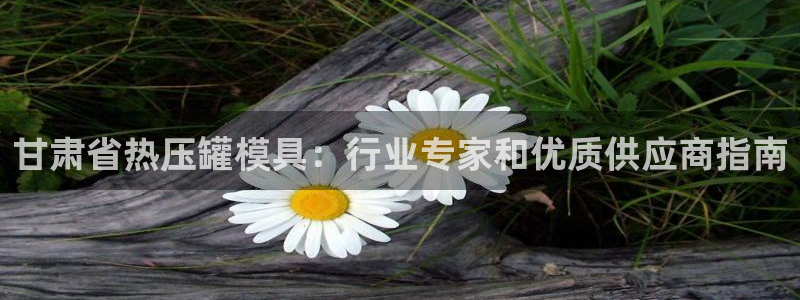 易倍申安理申区别：甘肃省热压罐模具：行业专家和优质供应商