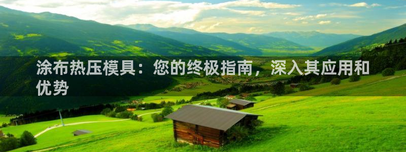 上海易倍投资有限公司：涂布热压模具：您的终极指南，深入其