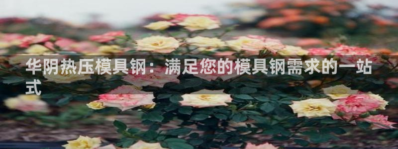 易倍单词官方网站下载：华阴热压模具钢：满足您的模具钢需求