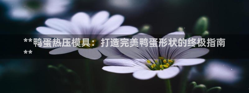 易倍单词官方网站登录：**鸭蛋热压模具：打造完美鸭蛋形状