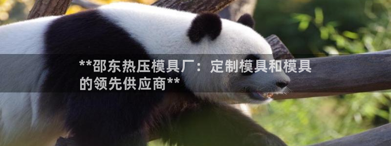 易倍思怎么样：**邵东热压模具厂：定制模具和模具
的领先
