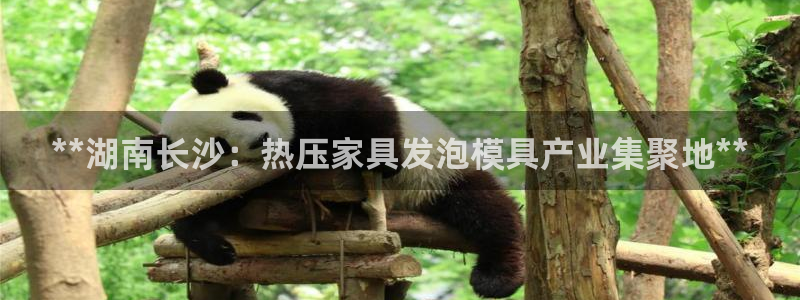 易倍达科技有限公司招聘：**湖南长沙：热压家具发泡模具产