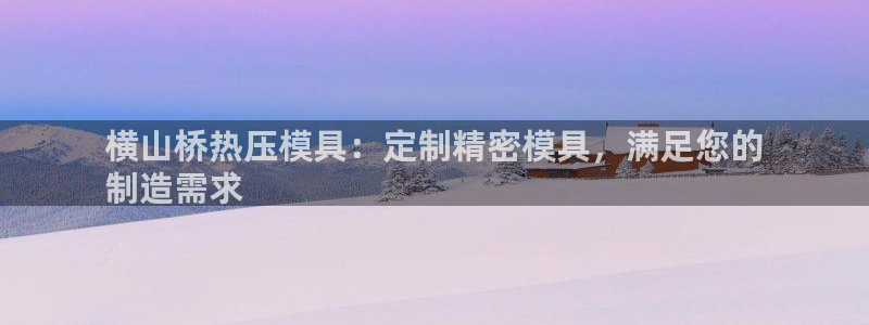 易倍网络技术有限公司：横山桥热压模具：定制精密模具，满足
