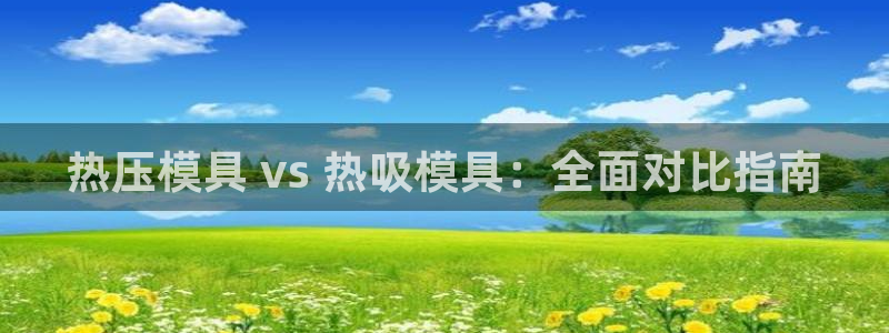 易倍单词官方网站下载：热压模具 vs 热吸模具：全面对比