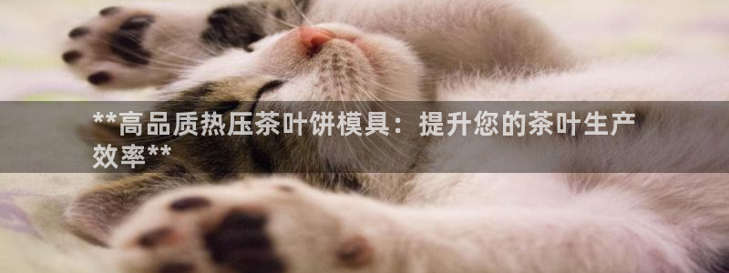 emc易倍首页：**高品质热压茶叶饼模具：提升您的茶叶生