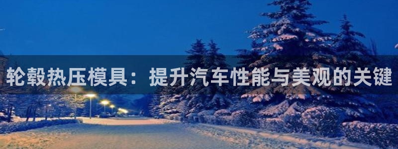 EMC易倍官网招聘：轮毂热压模具：提升汽车性能与美观的关