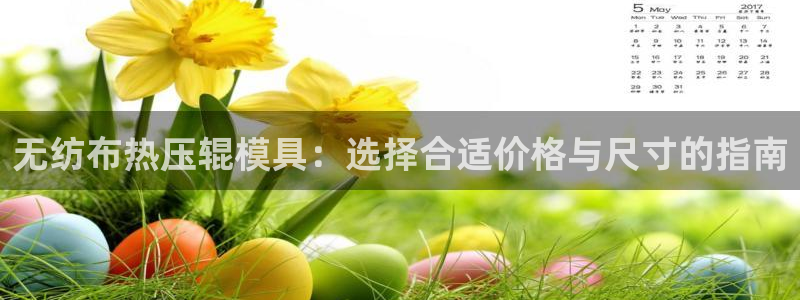 emc备份软件