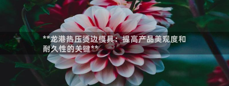 上海易倍投资有限公司：**龙港热压烫边模具：提高产品美观