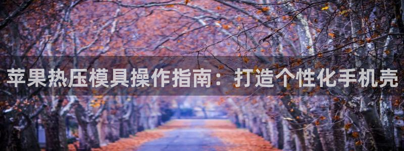 易倍下载手机版：苹果热压模具操作指南：打造个性化手机壳