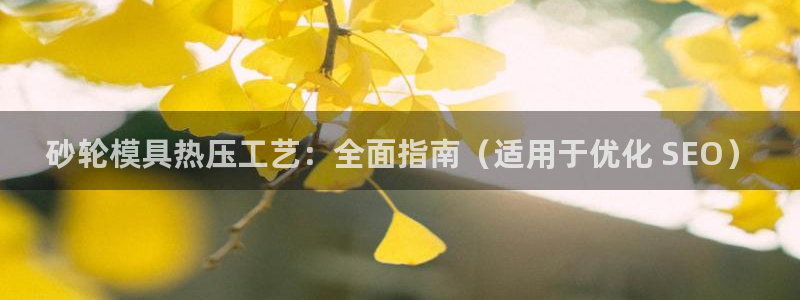 emc参数：砂轮模具热压工艺：全面指南（适用于优化 SE