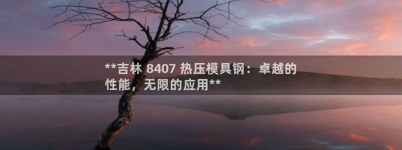emc易倍官方：**吉林 8407 热压模具钢：卓越的
