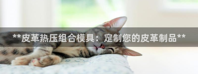 emc易倍