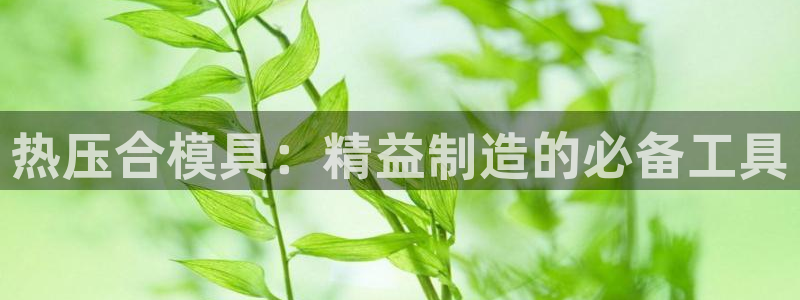 易倍单词app下载：热压合模具：精益制造的必备工具