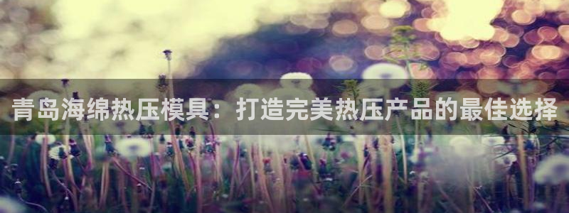 emc易倍官方平台：青岛海绵热压模具：打造完美热压产品的