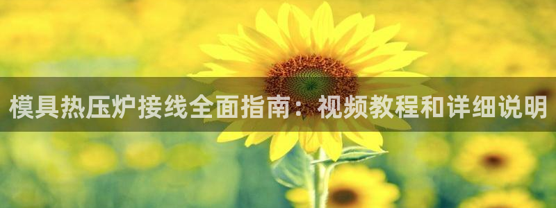 易倍纤多少钱：模具热压炉接线全面指南：视频教程和详细说明