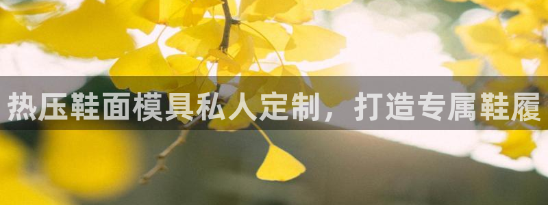 北京易倍思教育科技有限公司：热压鞋面模具私人定制，打造专