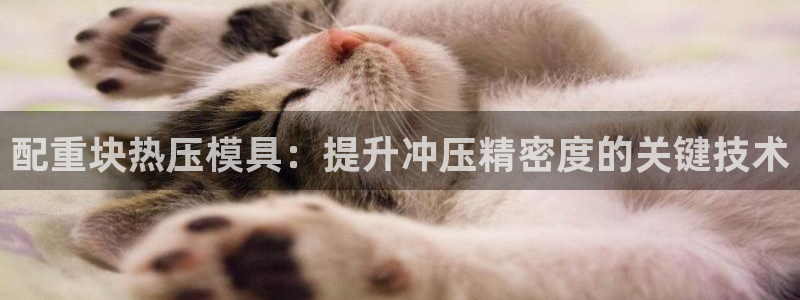 EMC易倍官方平台：配重块热压模具：提升冲压精密度的关键