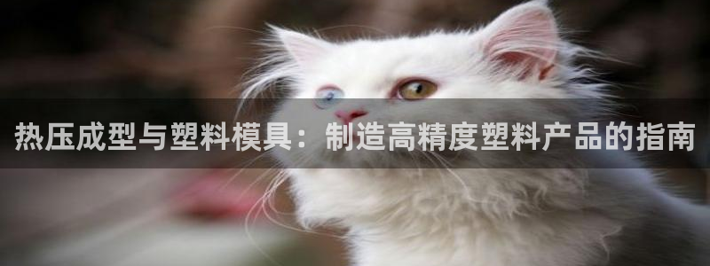 易倍申片能长期服用吗：热压成型与塑料模具：制造高精度塑料