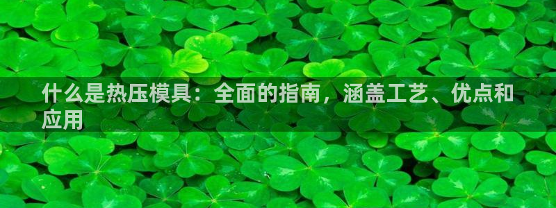 易倍申的副作用：什么是热压模具：全面的指南，涵盖工艺、优