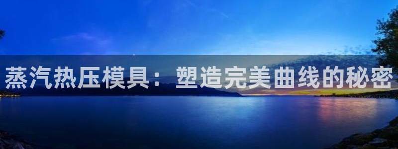 易倍达科技有限公司招聘：蒸汽热压模具：塑造完美曲线的秘密