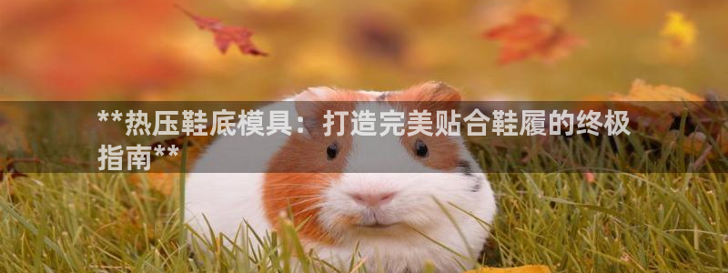 易倍纤能减肥吗：**热压鞋底模具：打造完美贴合鞋履的终极