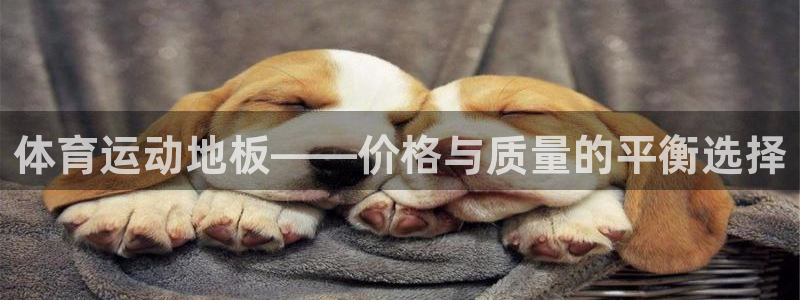 成都熊猫体育公园