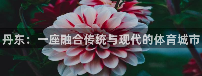 熊猫体育公园价格