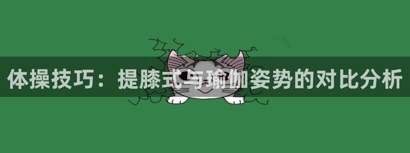 熊猫体育app官方入口