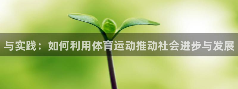 熊猫体育官方网站